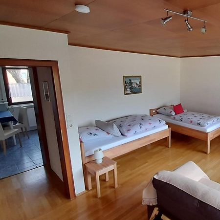 Buedingen-Ferienwohnung Bausch Экстерьер фото