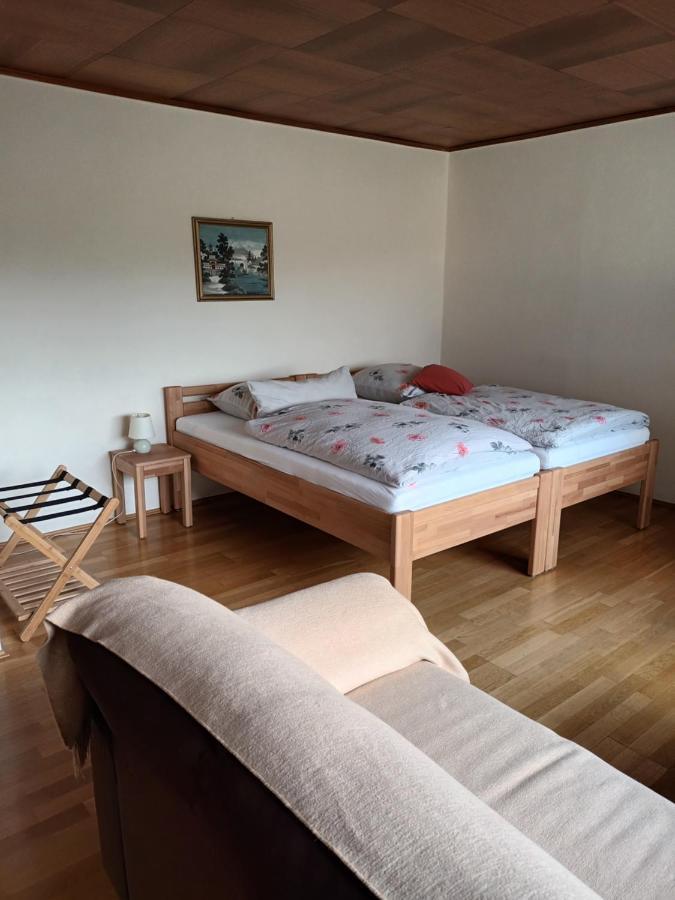 Buedingen-Ferienwohnung Bausch Экстерьер фото